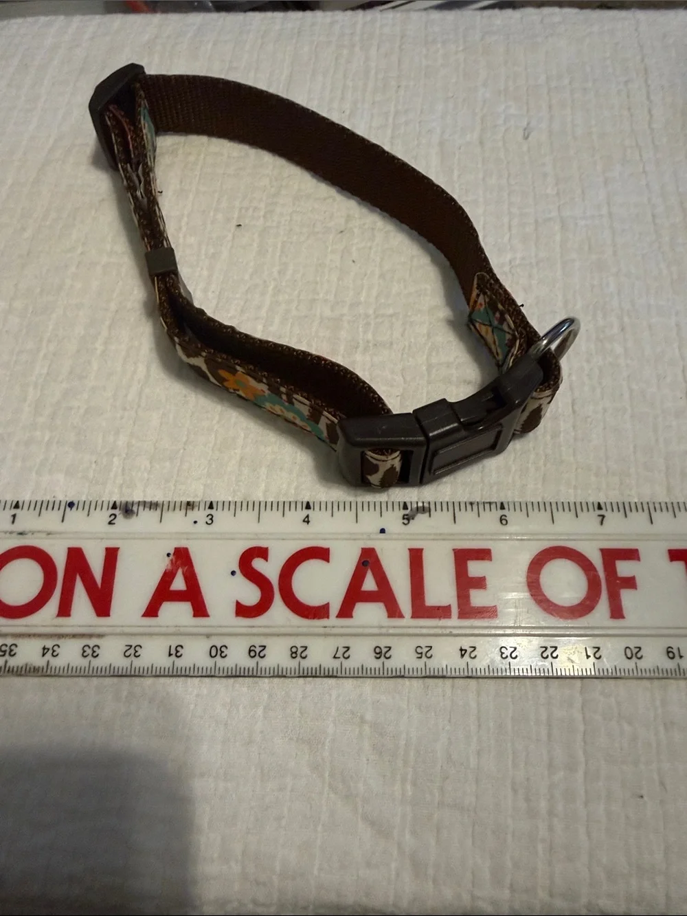Dog Collar Floral Print Adjustable  Collar - Brown, Pink, Blue Accents clean